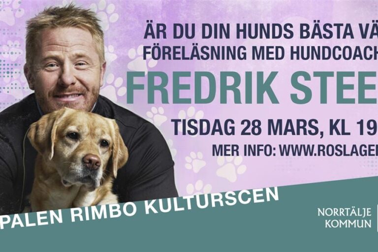 Fredrik Steen